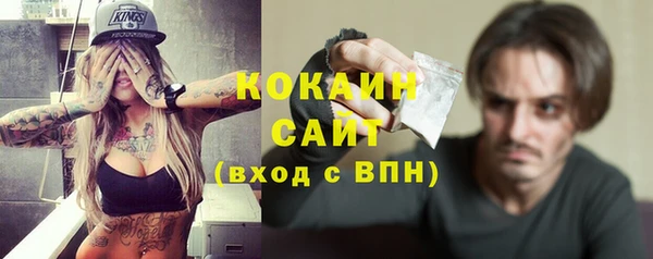дживик Балахна