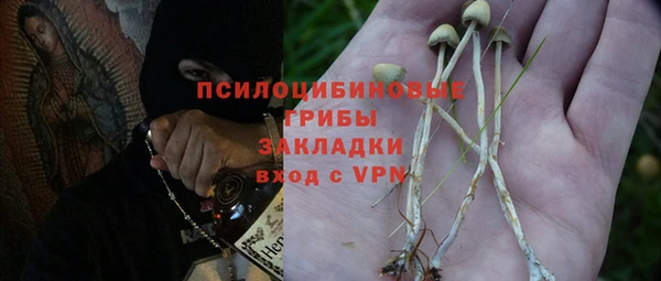дживик Балахна