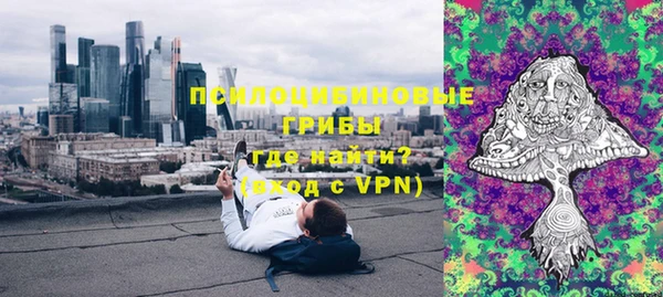 дживик Балахна